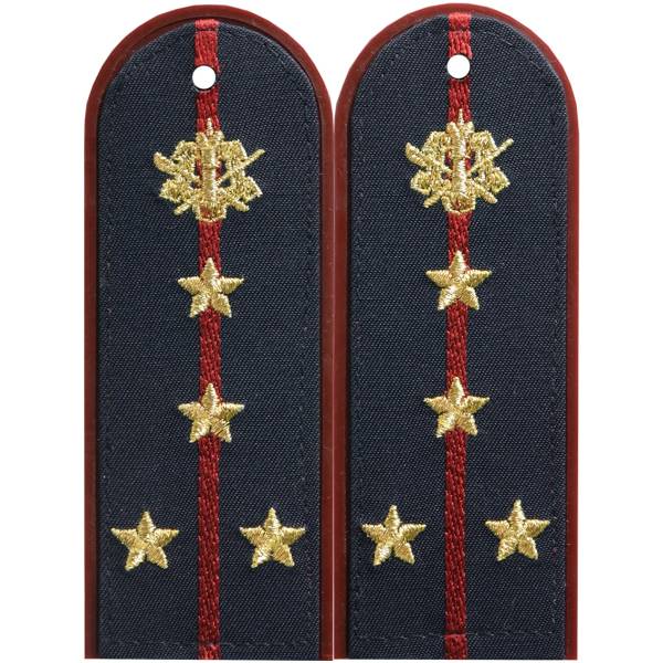 Погоны ФСИН ( УИС ) повседневные на куртку ( китель ) Капитан с эмблемой машинная вышивка пластик (2212035) - HAKKI