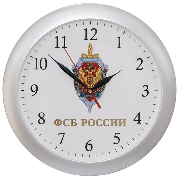 Часы настенные с символикой ФСБ России D-29 пластик серебристые (4102988) - HAKKI