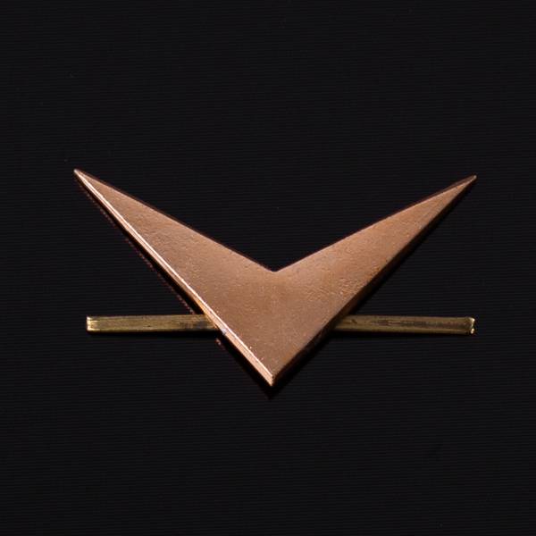 Знак различия ( лычка ) на погон Стрелка (2101048) - HAKKI