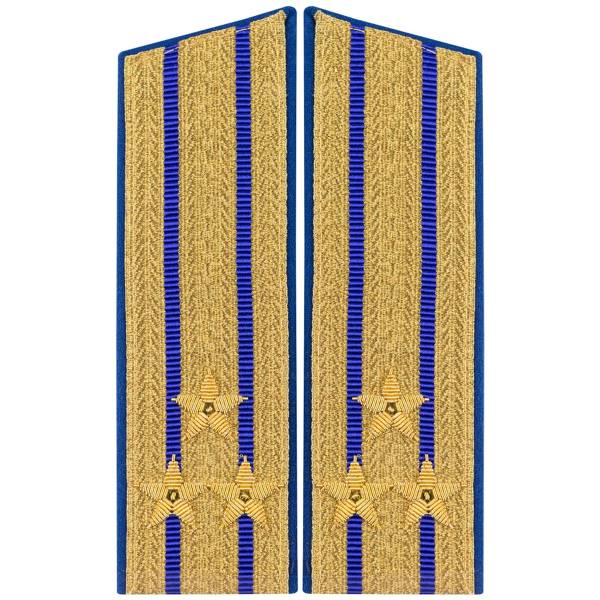 Погоны ФСБ парадные на китель Полковник (ручная вышивка) (2211024) - HAKKI