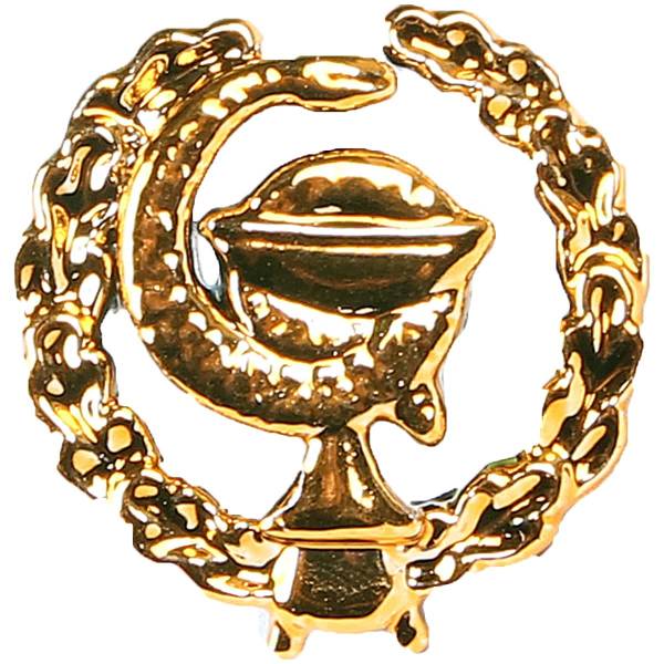 Эмблема ( знак ) петличная ( петлица ) Медицинская служба левая золотистая пластик (2102131) - HAKKI