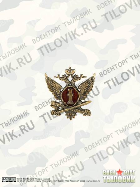 Жетон ( знак ) ФСИН России 34 мм без крепления (2306029) - HAKKI