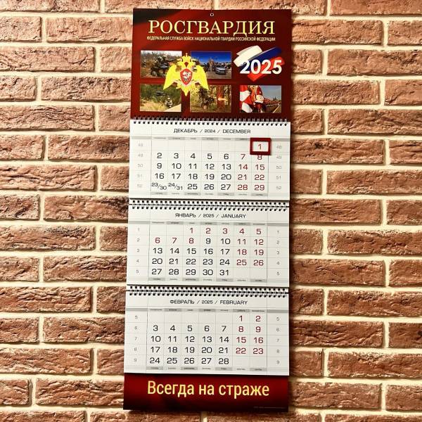 Календарь настенный РОСГВАРДИЯ - ФСВНГ ( Федеральная служба войск национальной гвардии ) России на 2025 год квартальный (4303128) - HAKKI
