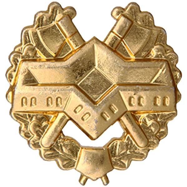 Эмблема ( знак ) петличная ( петлица ) Спецстрой золотая (2102093) - HAKKI