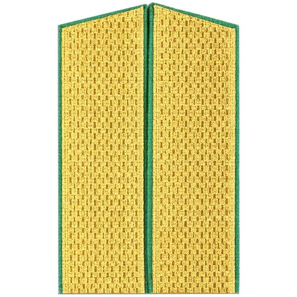 Погоны Пограничной службы ФСБ парадные ( пришивные 17,5 см ). (2209084) - HAKKI