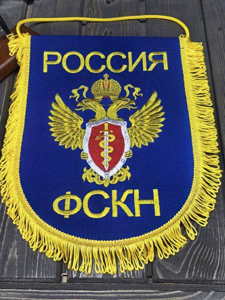 Вымпел большой с вышивкой ФСКН России 25х32 см васильковый (4504026) - HAKKI