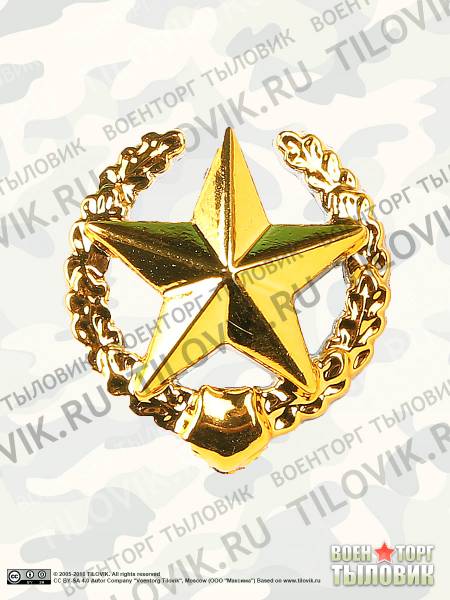 Эмблема ( знак ) петличная ( петлица ) Сухопутные войска золото пластиковая (2102148) - HAKKI