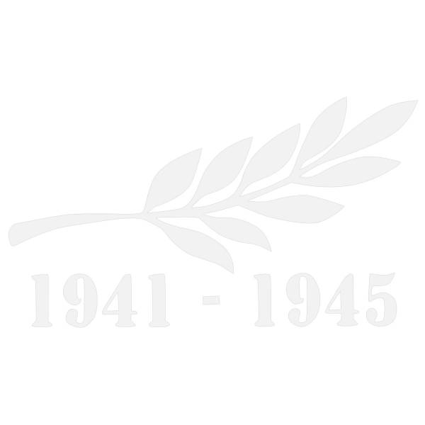 Наклейка на авто виниловая Памятная ветвь / ВОВ 1941-1945 14х24 (12011006)