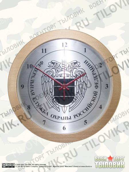 Часы настенные с символикой ФСО России D-28 пластик золотистые (4102125) - HAKKI