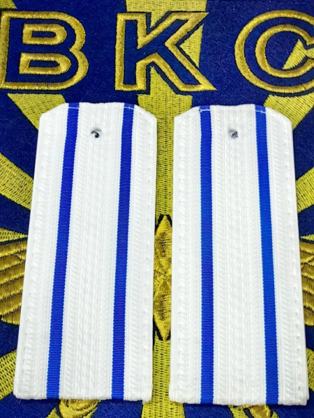 Погоны ВКС / ВВС парадные на рубашку 2 просвета галун пластик (2202090) - HAKKI