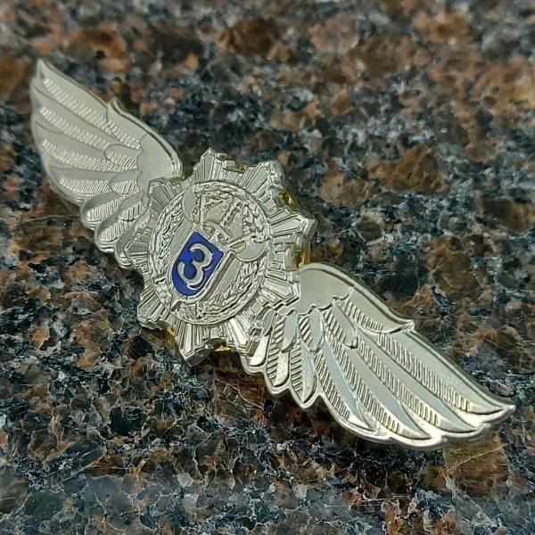 Знак нагрудный Классность офицерского состава ФСО России 3 класс закрутка (2301298) - HAKKI