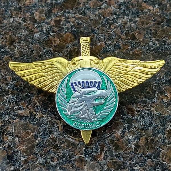 Знак нагрудный Спецназ ВДВ России / Волк закрутка (2301182) - HAKKI