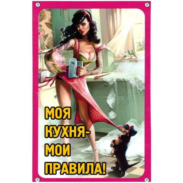 Табличка ( знак ) предупреждающая домовая Моя кухня - мои правила 30х19,5 см (4315015) - HAKKI