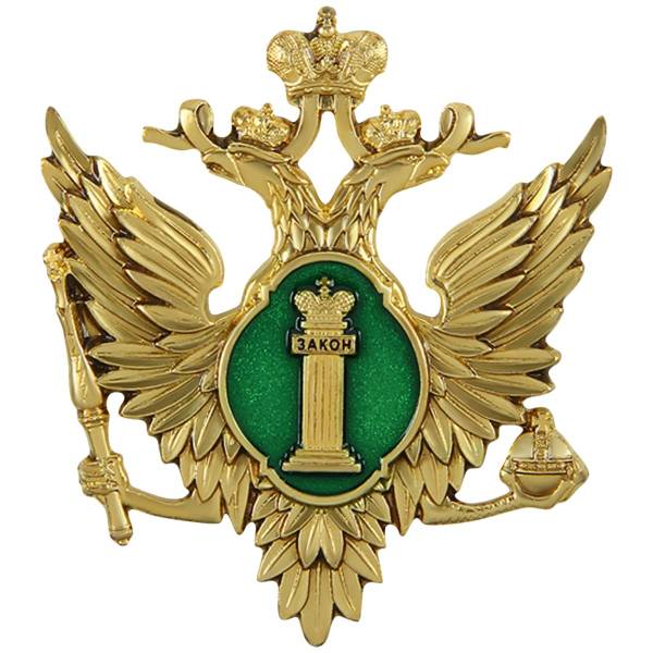 Жетон ( знак ) Министерство юстиции России 52 мм без крепления (2306031) - HAKKI