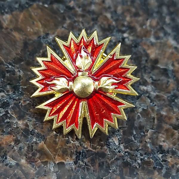 Знак фрачный ГРУ ГШ ВС РФ на пимсе (2302038) - HAKKI