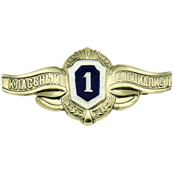 Знак нагрудный Классность рядовой состав 1 класс на булавке (2301239) - HAKKI