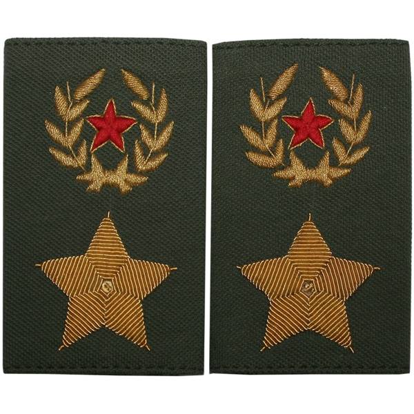 Фальш-погоны ( фальш погоны муфта ) ВС РФ повседневные на поло Генерал армии олива золото 5% (2214953) - HAKKI