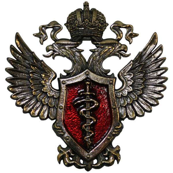 Жетон ( знак ) ФСКН России 51 мм без крепления (2306009) - HAKKI