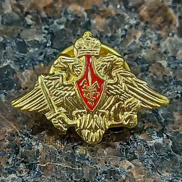 Знак фрачный СУХОПУТНЫЕ ВОЙСКА 21х15 мм золотистый (2302082) - HAKKI