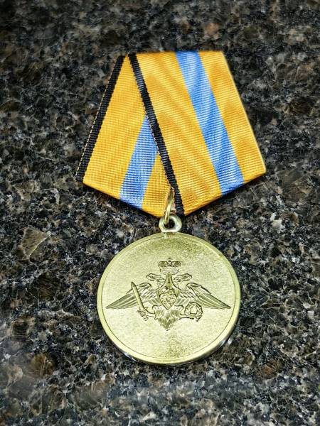 Медаль МО РФ -  Участнику борьбы со стихией на Амуре (2401280) - HAKKI