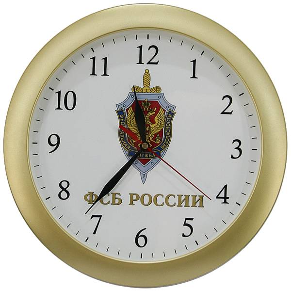 Часы настенные с символикой ФСБ России D-29 пластик золотистые (4102990) - HAKKI