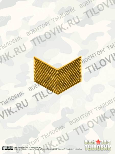 Знак различия ( лычка ) на погон МВД России 10х45 мм серебристая (2101061) - HAKKI