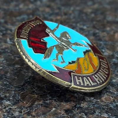Знак нагрудный Халхин-Гол Август 1939 закрутка (2305030) - HAKKI.RU