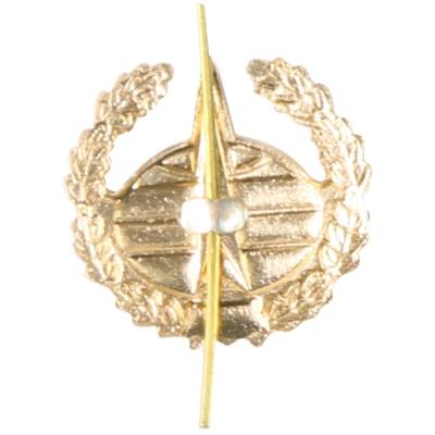 Эмблема ( знак ) петличная ( петлица ) Космические войска (неуставная) золотая (2102114) - HAKKI.RU