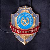 Знак ( жетон ) нагрудный ПОМОЩНИК ДЕЖУРНОГО ПО ТЕХ. ТЕРРИТОРИИ (2304031) - ВОЕНТОРГ ТЫЛОВИК
