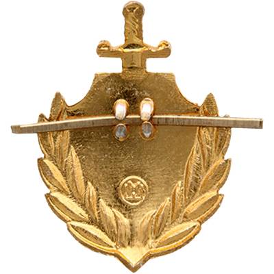 Эмблема ( знак ) петличная ( петлица ) МВД России золотистая (2102099) - HAKKI.RU