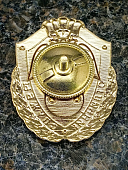 Знак нагрудный ФСВНГ ( Росгвардия ) РФ ОТЛИЧНИК СЛУЖБЫ в авиационных воинских частях (подразделениях) (2301635) - ВОЕНТОРГ ТЫЛОВИК