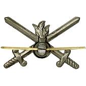 Эмблема ( знак ) петличная ( петлица ) Сухопутные войска защитная (2102046) - ВОЕНТОРГ ТЫЛОВИК