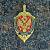 Жетон ( знак ) ФСБ 45 мм без крепления золотистый (2306998) - HAKKI