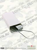 Флешка ( USB накопитель ) с символикой Пограничная служба ФСБ РФ слиток с цепочкой 4 Гб (4308046) - ВОЕНТОРГ ТЫЛОВИК