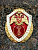 Знак нагрудный ФСВНГ ( Росгвардия ) РФ ОТЛИЧНИК СЛУЖБЫ в воинских частях (подразделениях) связи и автоматизации (2301647) - HAKKI
