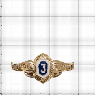 Знак нагрудный Классность рядового состава 3 класс булавка (2301999) - HAKKI.RU