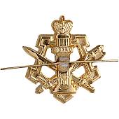 Эмблема ( знак ) петличная ( петлица ) ФСИН России золотистая (2102073) - ВОЕНТОРГ ТЫЛОВИК