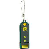 Флешка ( USB накопитель ) с символикой ФССП России 16 ГБ (4308061) - ВОЕНТОРГ ТЫЛОВИК