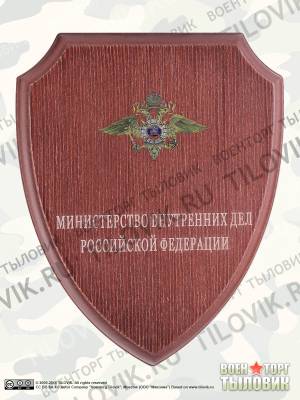 Плакетка с символикой МВД 250х200 (4406078) - HAKKI.RU