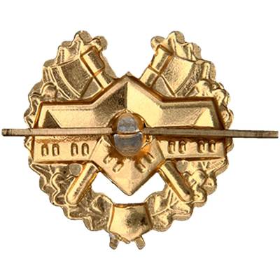 Эмблема ( знак ) петличная ( петлица ) Спецстрой золотая (2102093) - HAKKI.RU