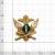Эмблема ( знак ) петличная ( петлица ) ФССП России золотистая (2102991) - HAKKI.RU