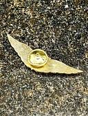 Знак должностной Начальника высшего военного училища профессиональной образовательной организации и общеобразовательной организации закрутка (2309057) - ВОЕНТОРГ ТЫЛОВИК