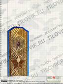 Вымпел средний с вышивкой Маршал ВДВ (4503027) - ВОЕНТОРГ ТЫЛОВИК