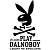 Наклейка на авто виниловая PLAY DALNOBOY Своих не бросаем 31х17 черная (12019045)