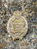Знак фрачный Заслуженный врач России на пимсе (2302959) - ВОЕНТОРГ ТЫЛОВИК