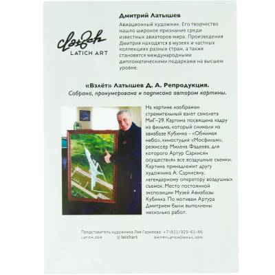 Картина ( принт картины ) Дмитрия Латышева "Взлет" в рамке 230х200 (4319001) - HAKKI.RU