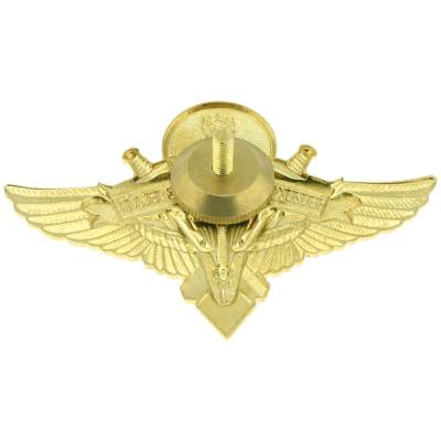 Знак нагрудный Классность ВДВ Специалист закрутка (2301191) - HAKKI.RU
