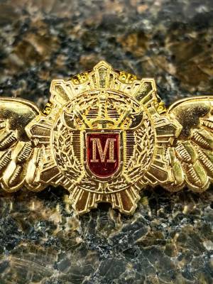 Знак нагрудный ФСО РОССИИ МАСТЕР закрутка (2301370) - HAKKI.RU