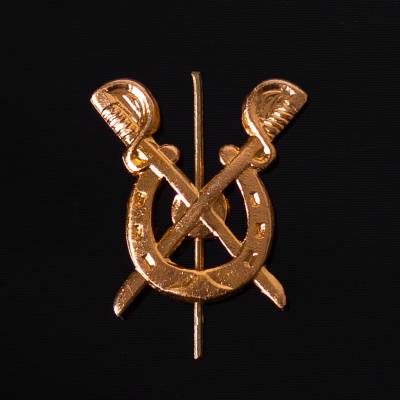 Эмблема ( знак ) петличная ( петлица ) Кавалерия РККА золотистая (2102139) - HAKKI.RU