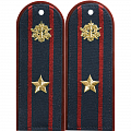 Погоны ФСИН ( УИС )
